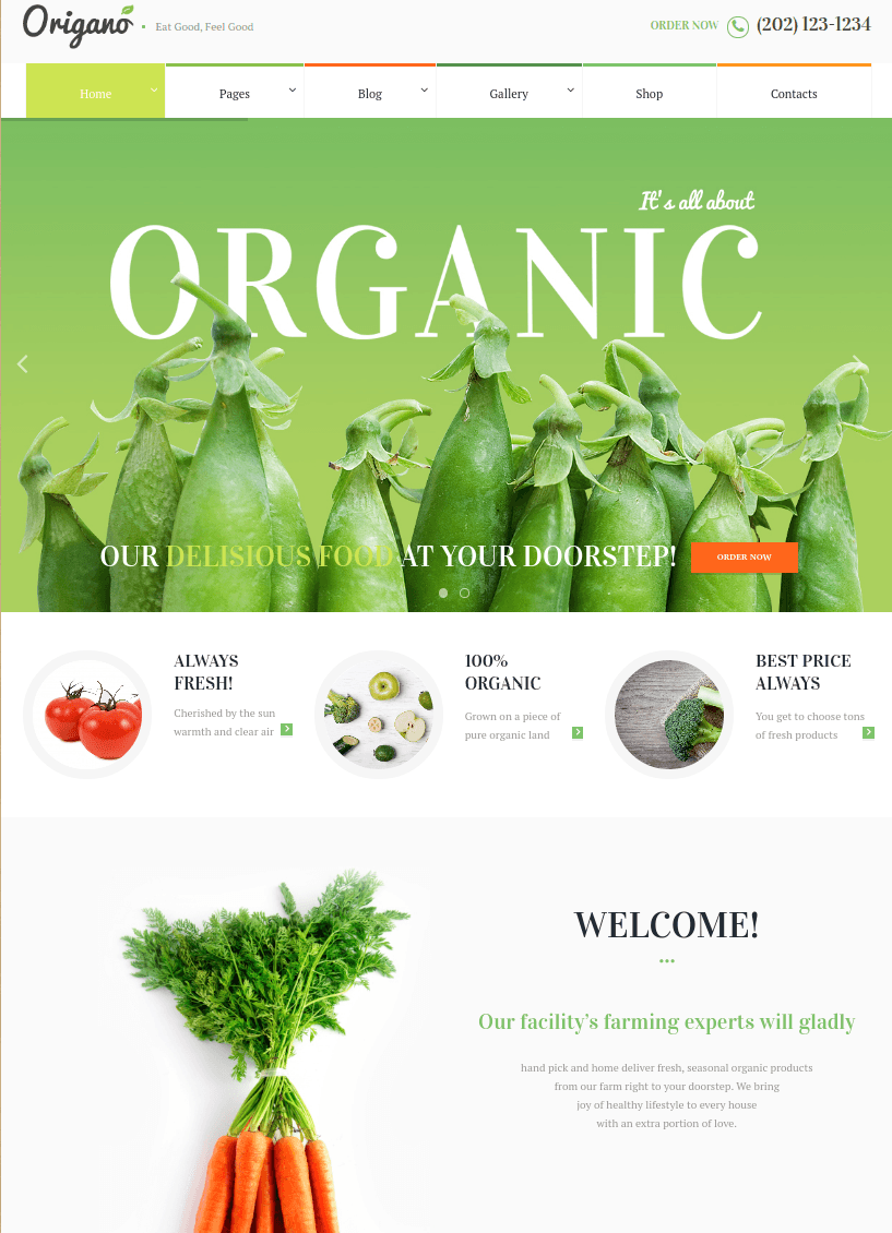 Organik Tarım Çiftlik Web Sitesi Örnekleri origano